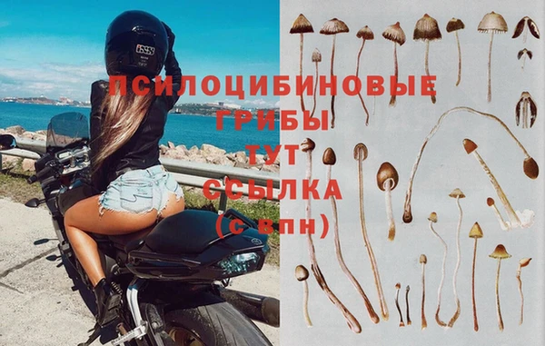 Альфа ПВП Слюдянка