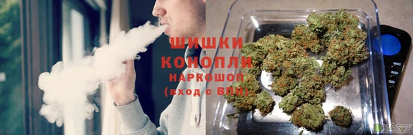 PSILOCYBIN Бронницы