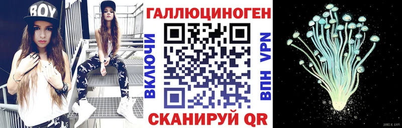 мега ссылка  маркетплейс состав  Псилоцибиновые грибы ЛСД  Дмитров 